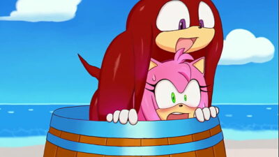 Amy rose sonic x