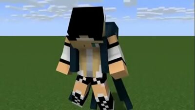 Animaciones de minecraft