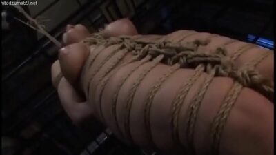 Vainilla shibari xvideos