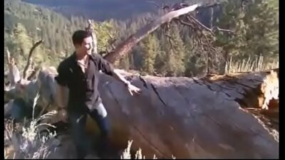 Videos sexo en el bosque