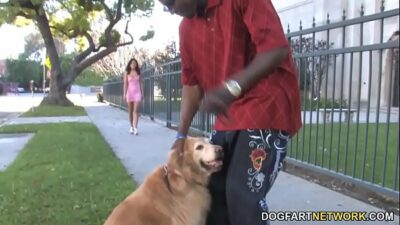 Boys fuck dog